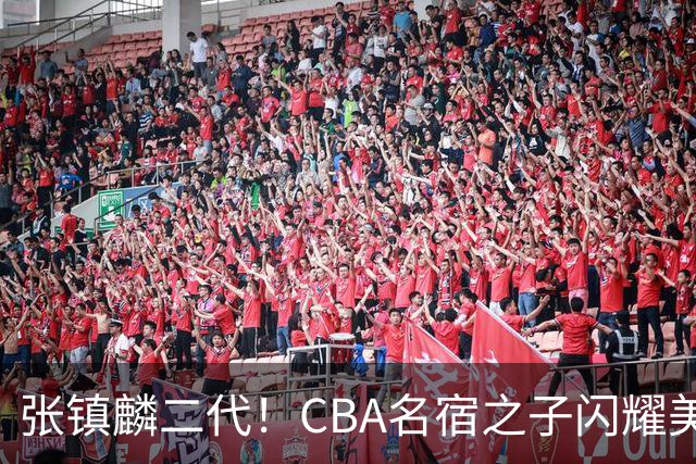 张镇麟二代！CBA名宿之子闪耀美高，收7份NCAA邀约，成男篮新希望