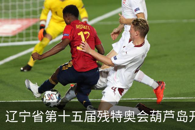 辽宁省第十五届残特奥会葫芦岛开赛 356名健儿参与角逐